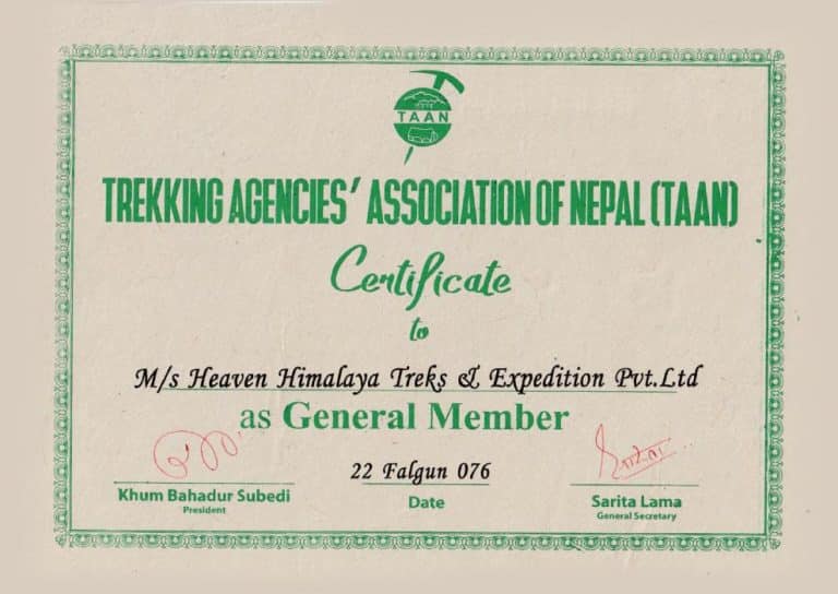 TAAN Certificate E1642150310196 768x544