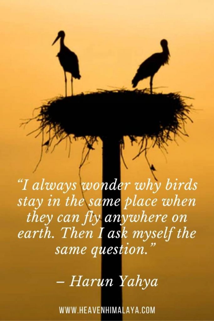Famous Sayings Heavenhimalaya 1 683x1024