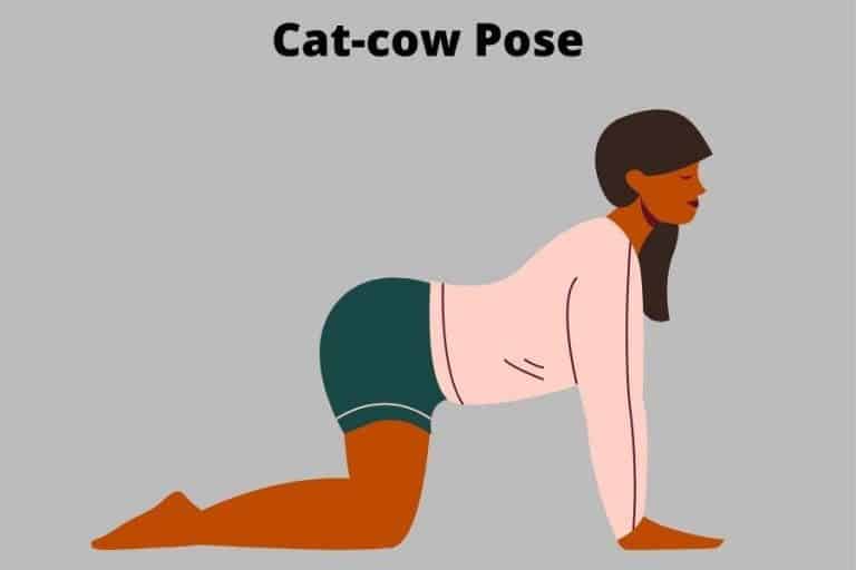 Cat Cow Yoga Pose Heavenhimalaya 768x512