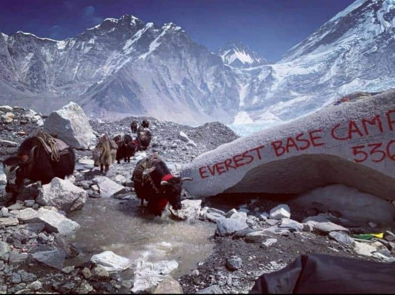 Trekking In Everest