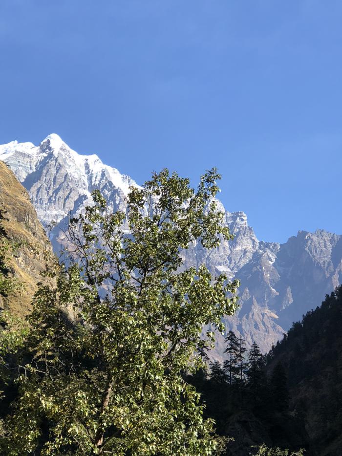 Tsum Village Heavenhimalaya