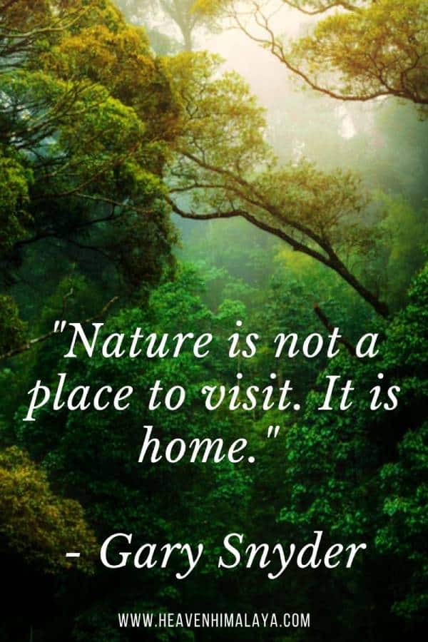 Instragram Trekking Quote