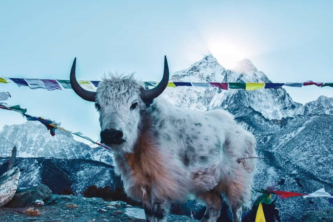 Everest Side