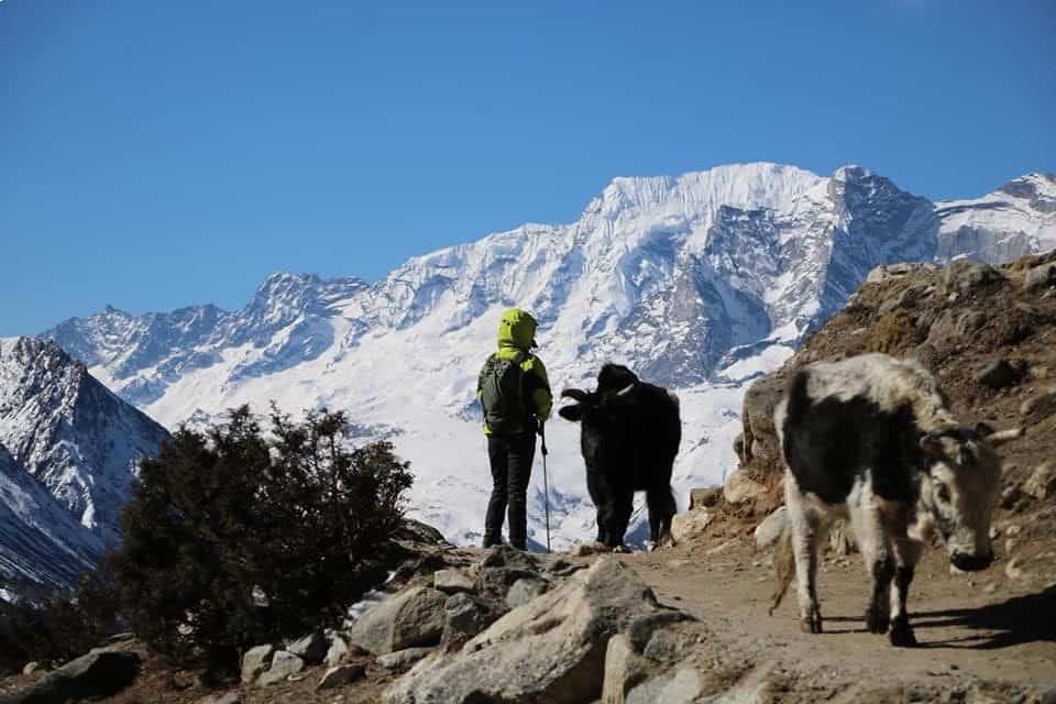 25 Finest Treks In Nepal Heavenhimalaya