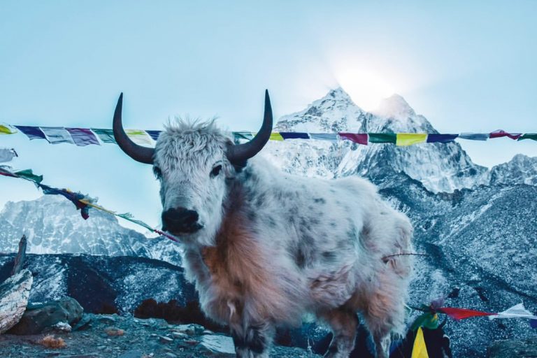 Everest Side 768x512